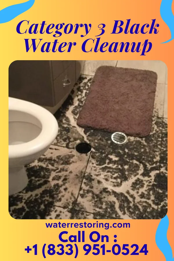 Category 3 Black Water Cleanup in Ville Platte, LA